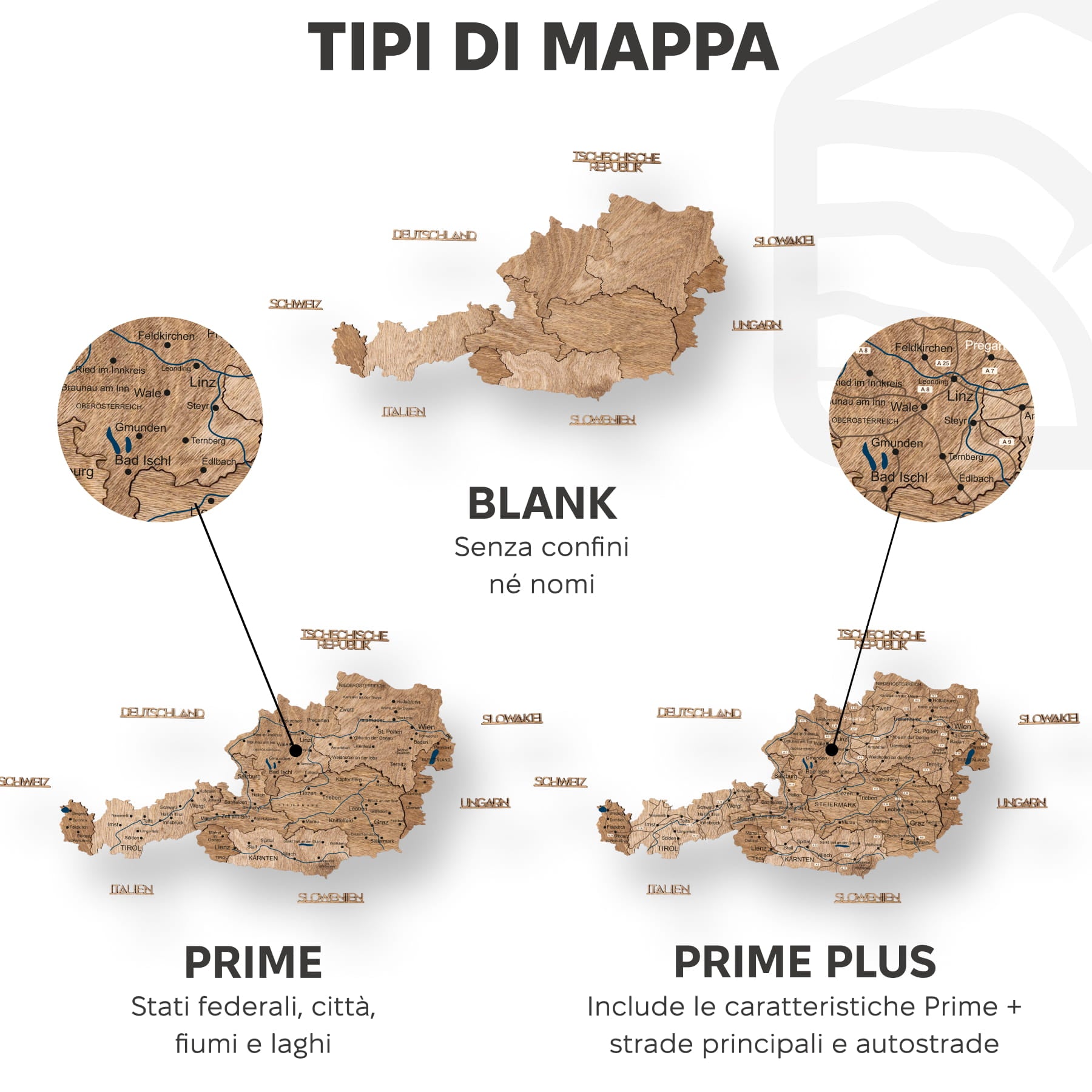 Mappa dell'Austria in legno Terra