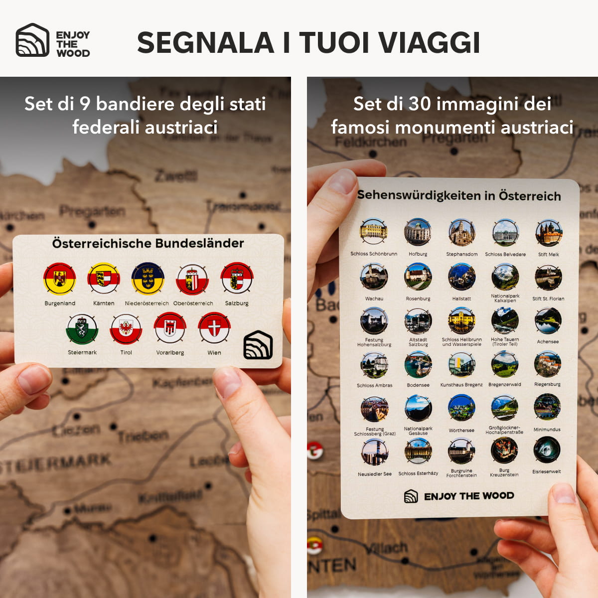 Mappa dell'Austria in legno Terra