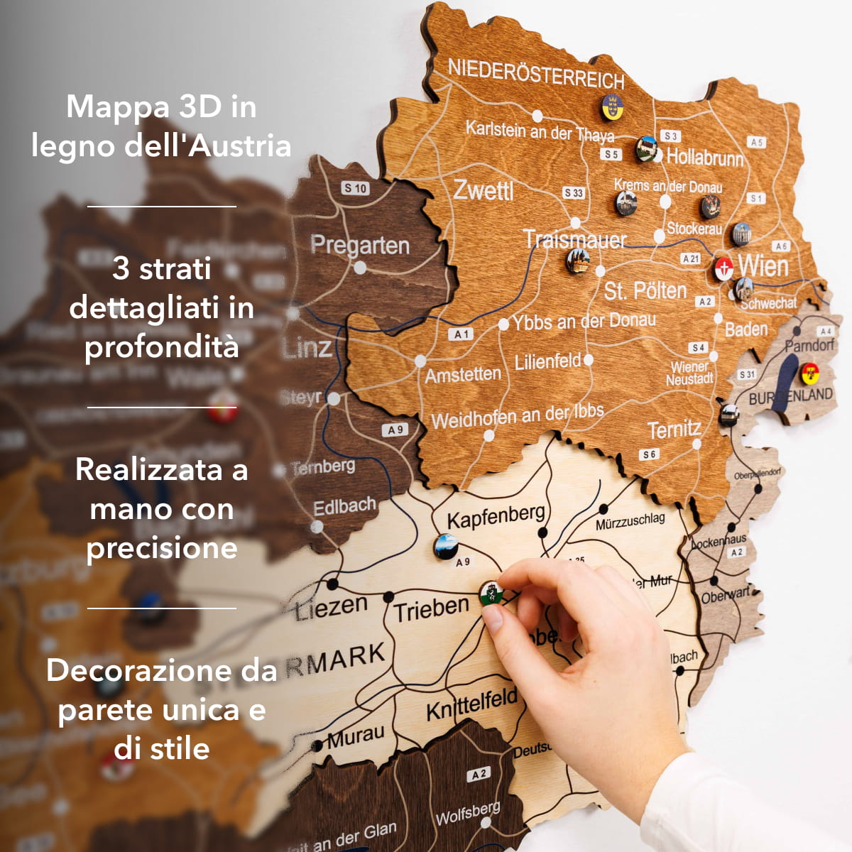 Mappa dell'Austria in legno Multicolor