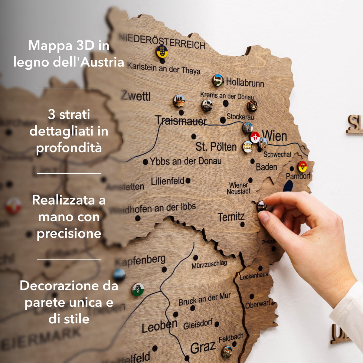 Mappa dell'Austria in legno Terra