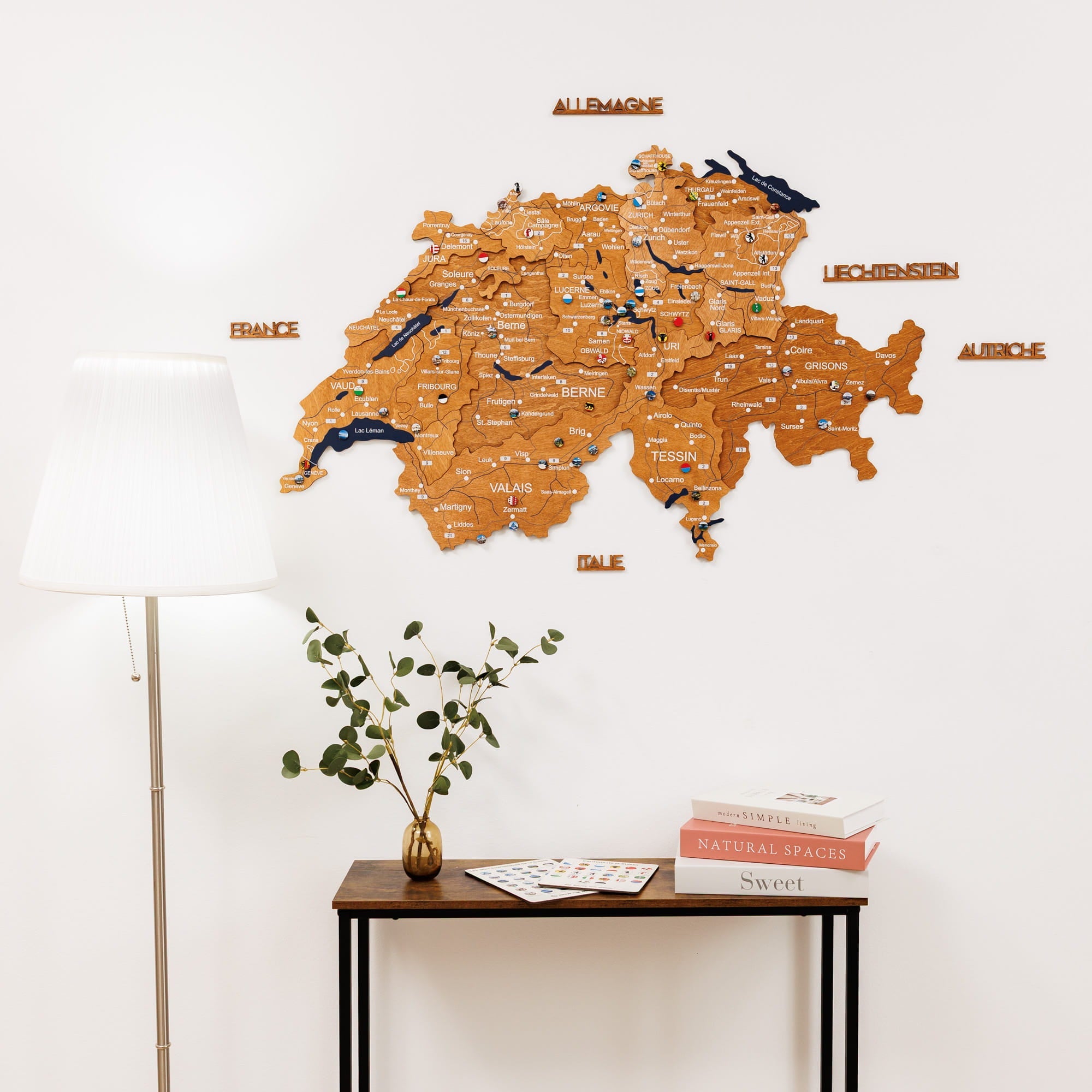 Map of Europe with country names on a white wall above a table with books and a plant.