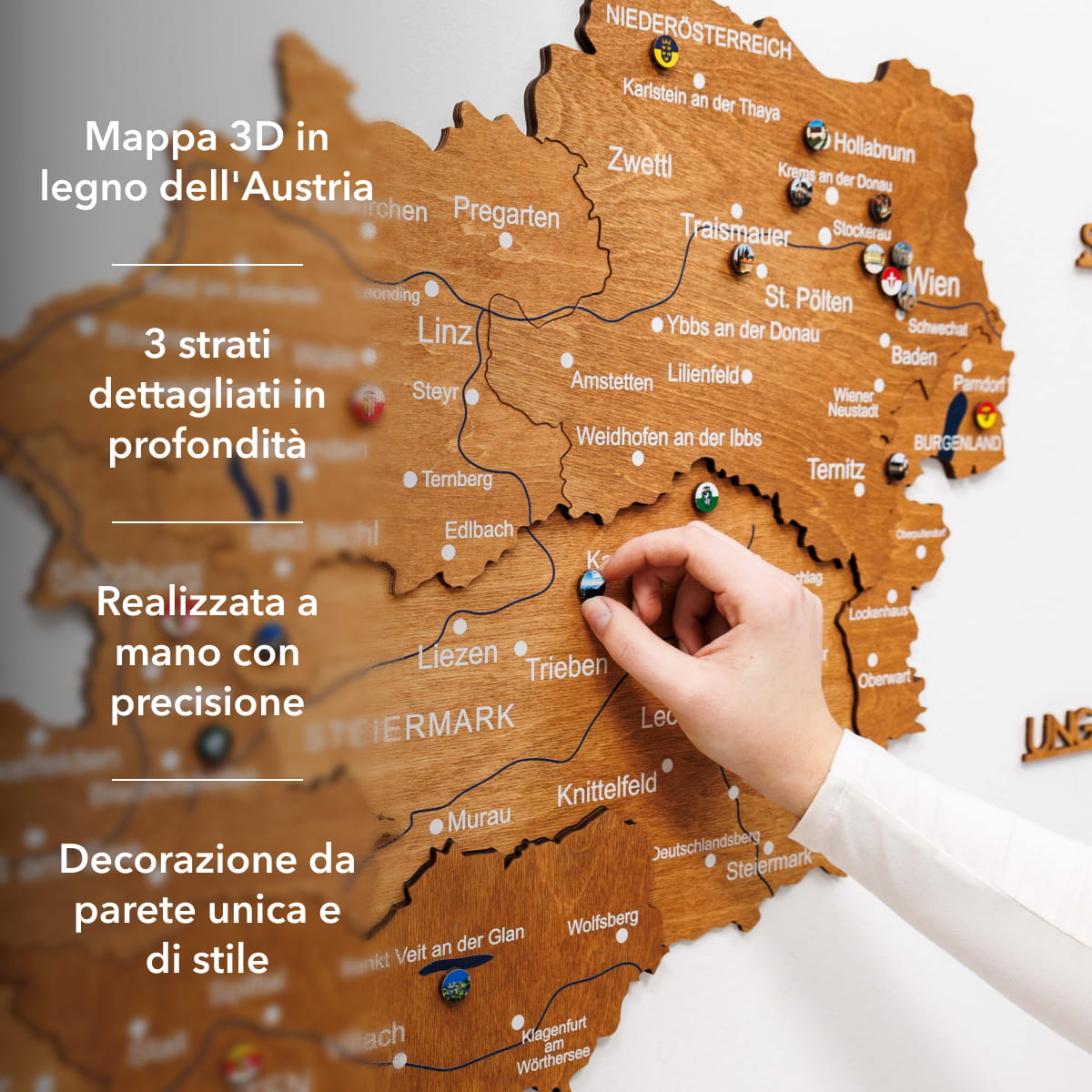 Mappa dell'Austria in legno Oak