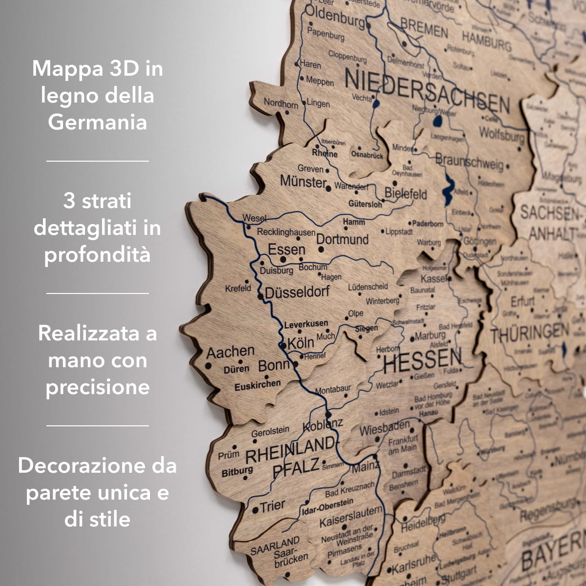 Mappa della Germania in legno Terra