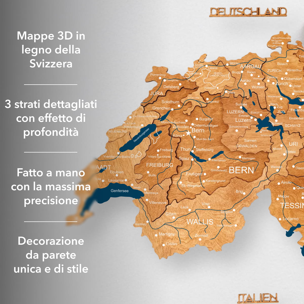 Mappa della Svizzera –Oak