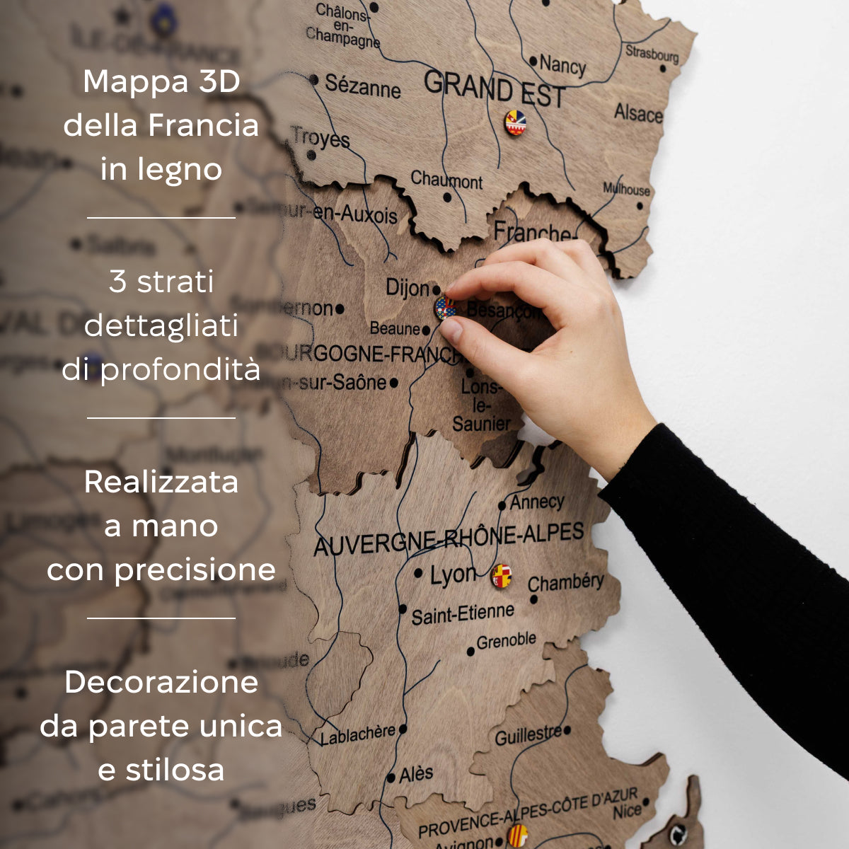Mappa della Francia in legno Terra